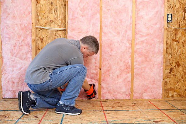 Best DIY Insulation Kits and Guidance in Vandenberg Village, CA